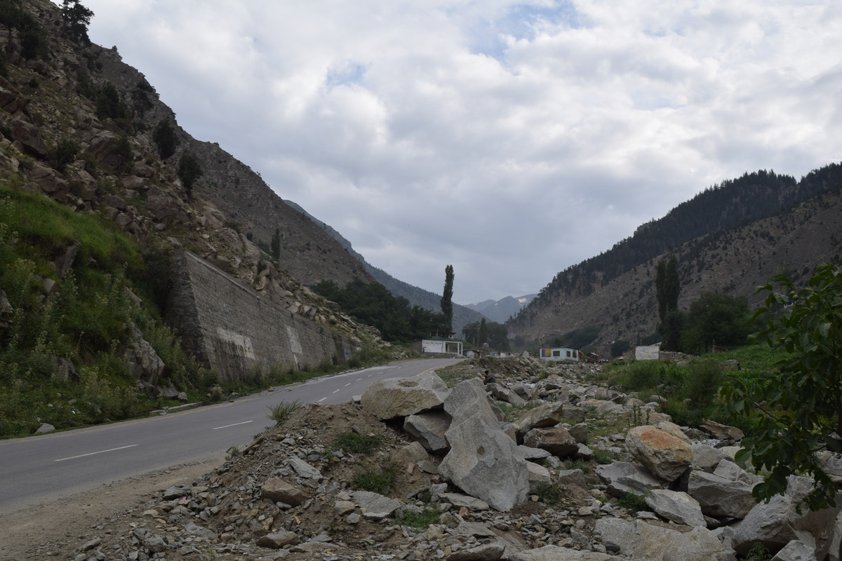 DSC-1475.jpg