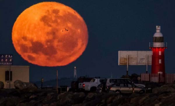 moon1.jpg