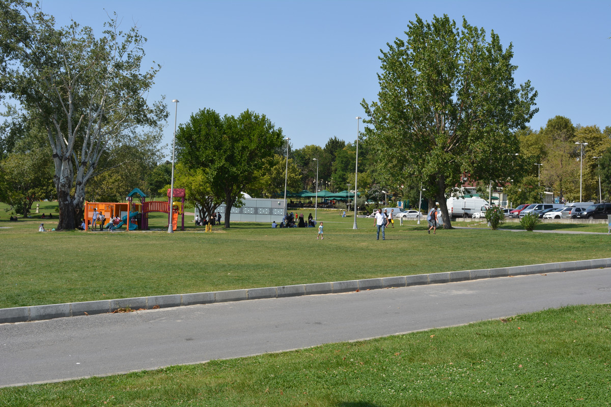 DSC-5747.jpg