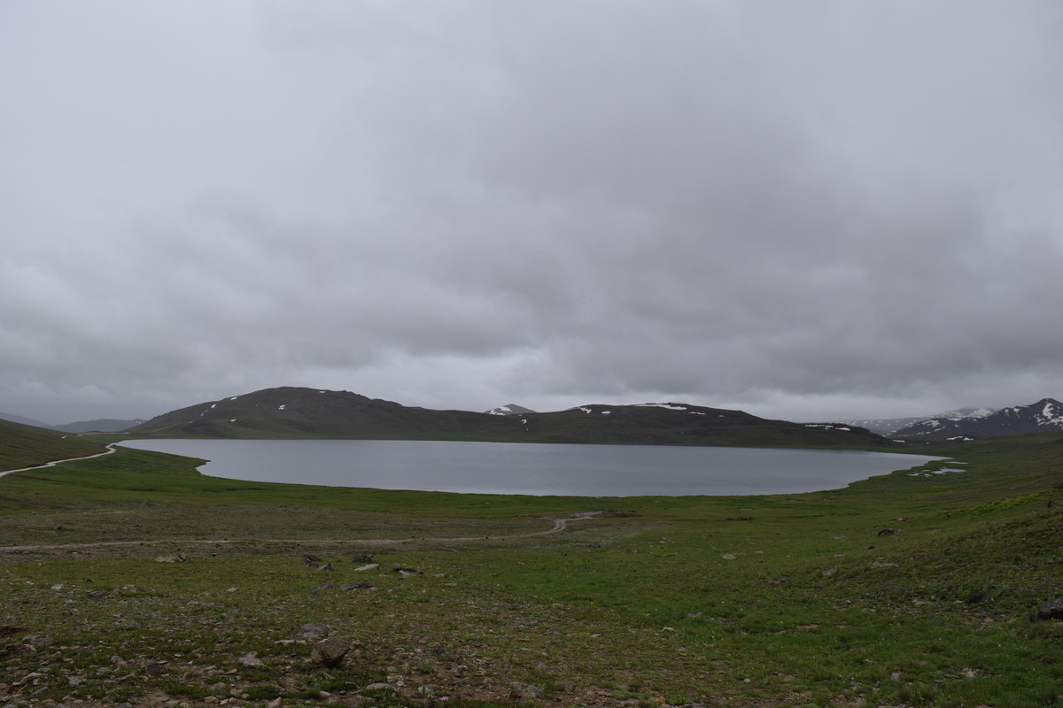 DSC-0541.jpg