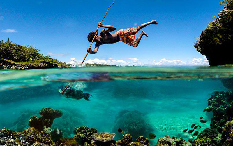 spear-fishing-perfect-timing.jpg