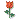 rose-1.gif