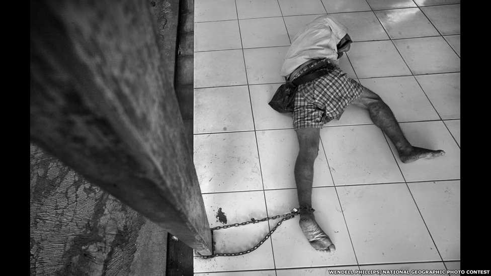 130107153352_captive.jpg