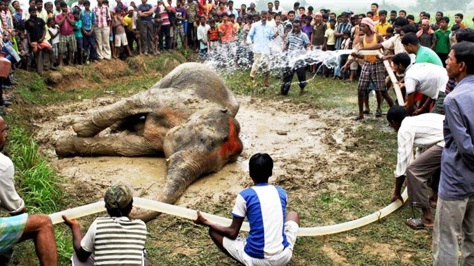130527110916_india-heat-3.jpg