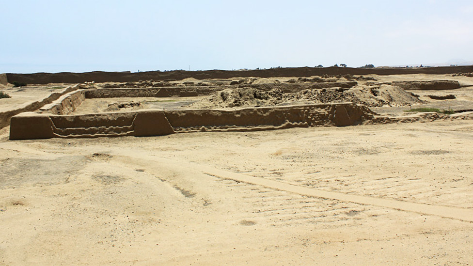 130206172529_archaeology-1.jpg