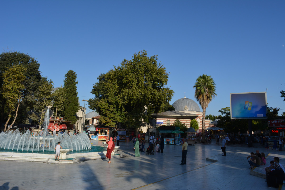 DSC-4478.jpg