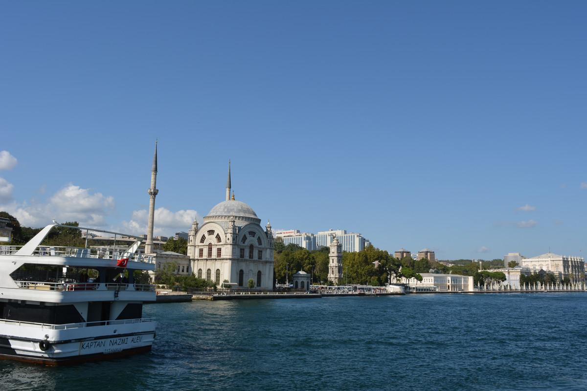 DSC-4923.jpg