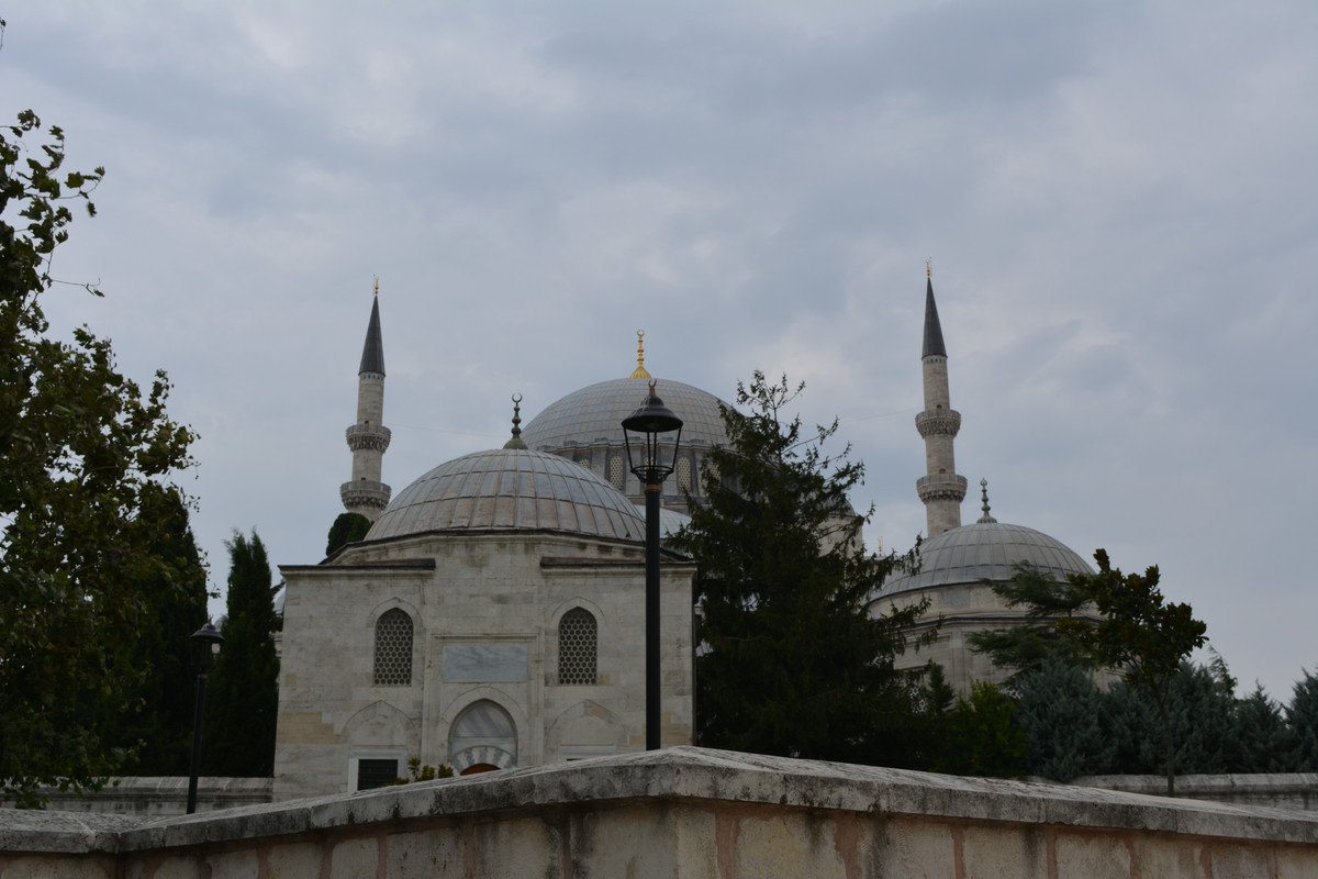 DSC-5855.jpg