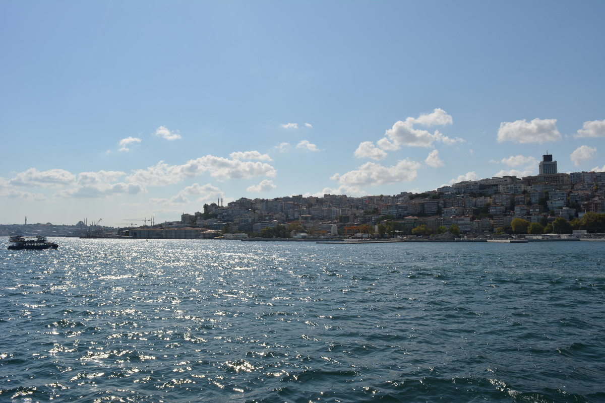 DSC-4914.jpg