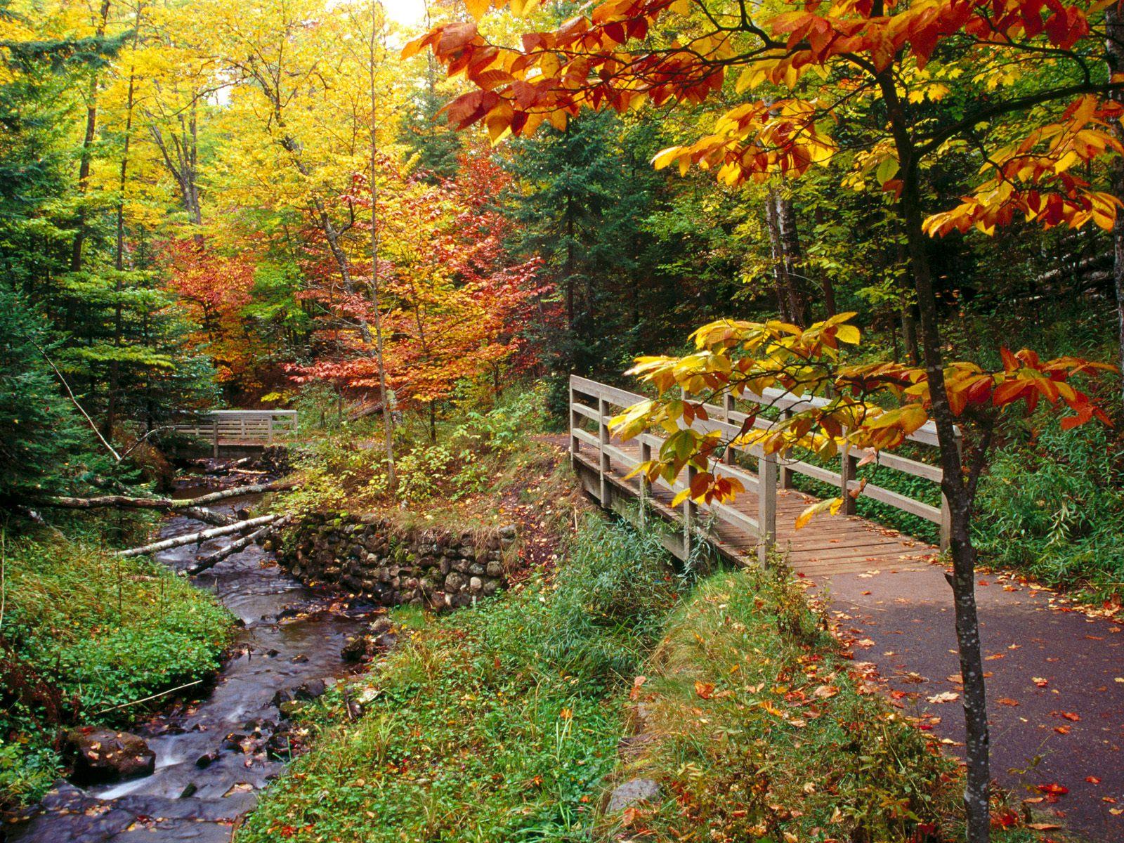 fall-footbridge.jpg