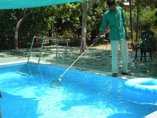 subsitute-of-leaf-net.jpg