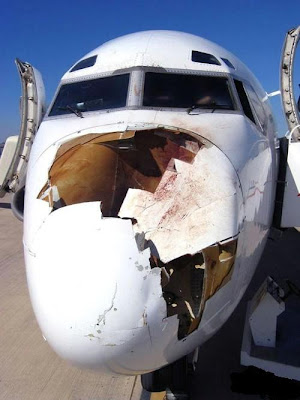 bird_strike.jpg