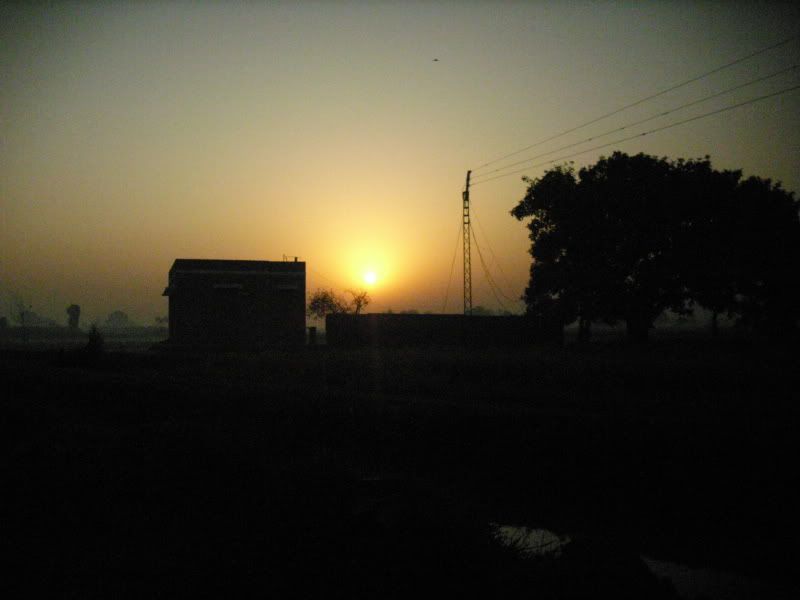 DSCI0022.jpg