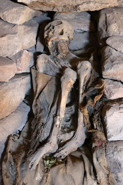 MUMMY4.jpg