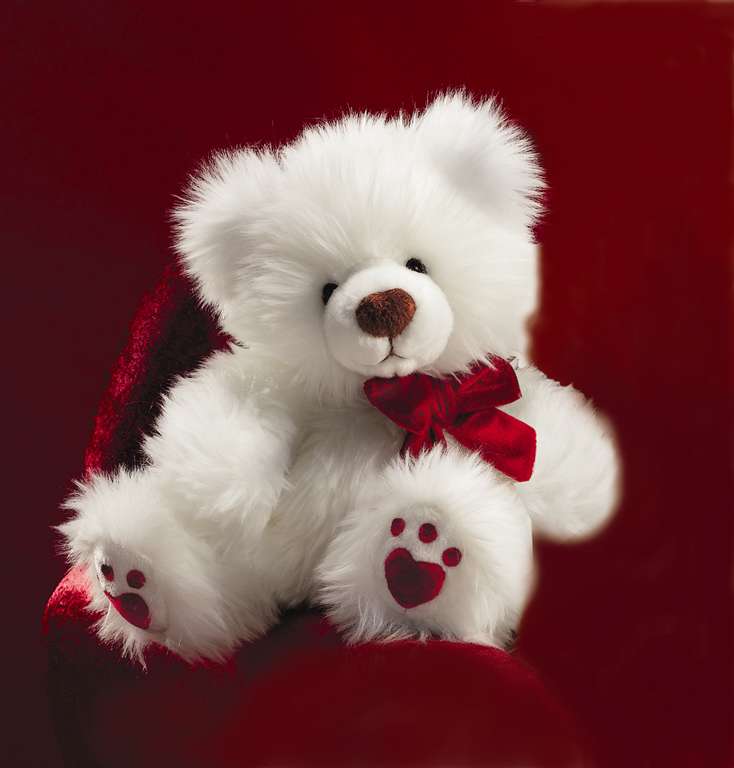 beautiful-white-teddy-bear-pictures.jpg