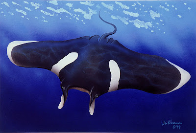 Black-and-White+Manta.jpg