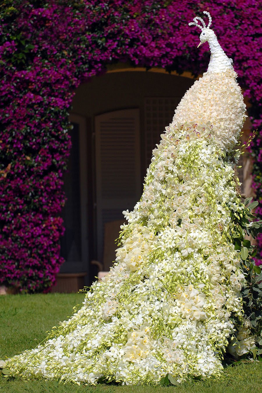Peacock+Flower+Art%E2%97%95+Peacock+made+of+Jasmine+Flowers.jpg
