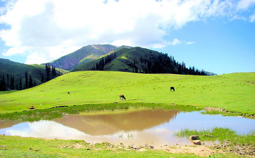Payee---Shogran---Kaghan-Valley---Pakistan-2491big.jpg