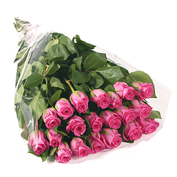 5763-20_pink_rose_gift_wrap.jpg