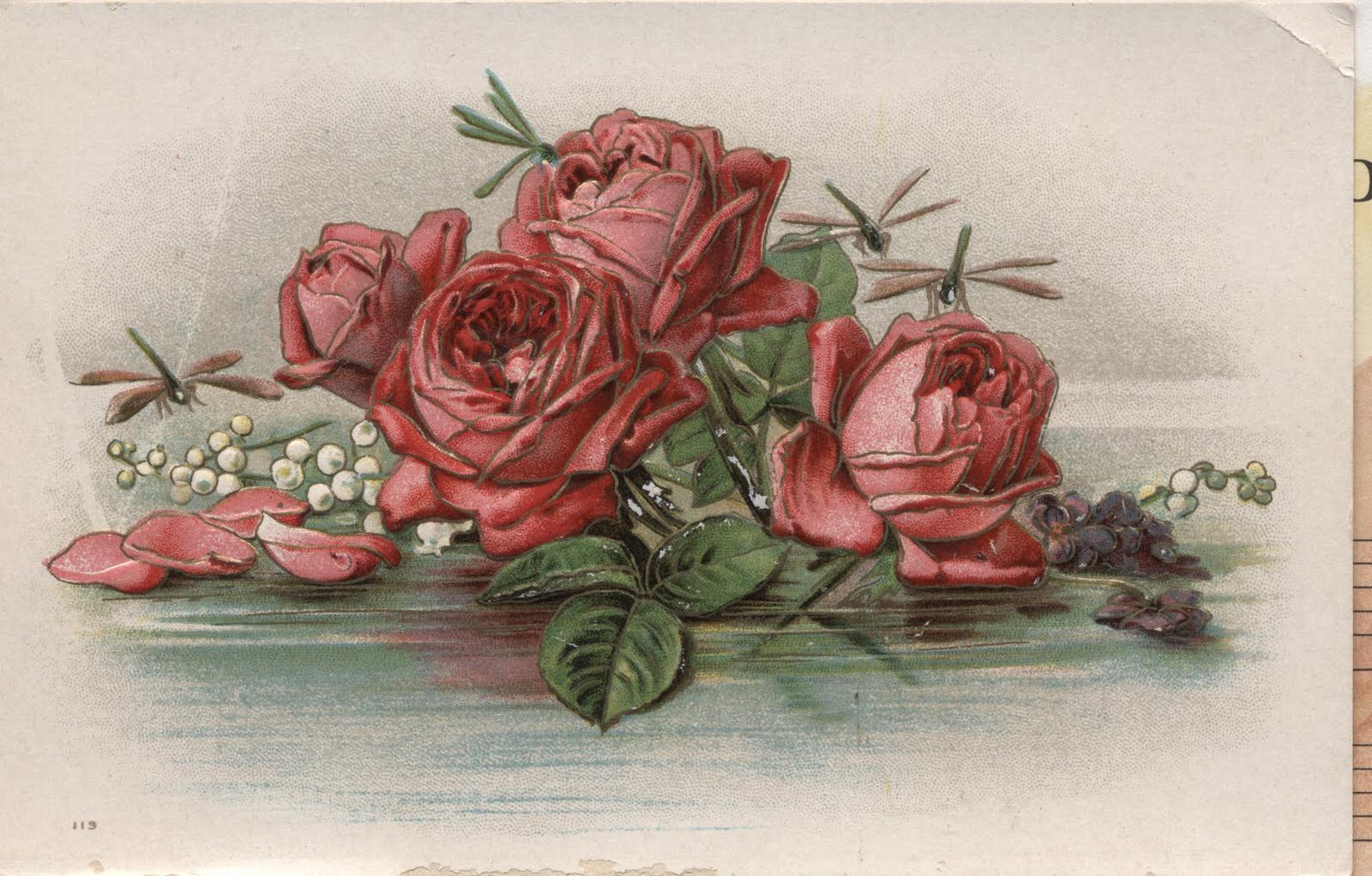 roses+card+001.jpg