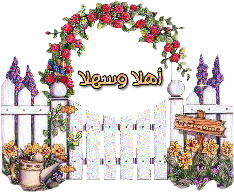 www.onlineilmkidunya.com.gif