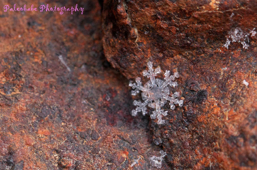 a_wow_snowflake_by_koalben-d4s2rk0.jpg