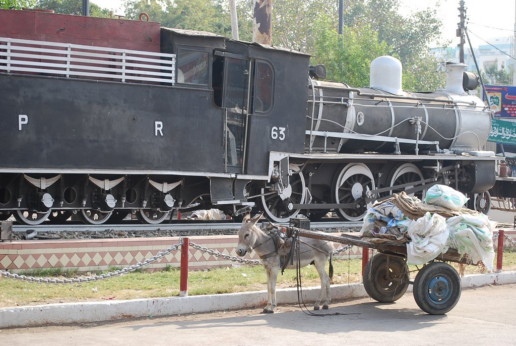 10-train-and-donkey.jpg