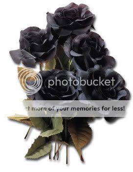 Black-Roses-clrd.jpg