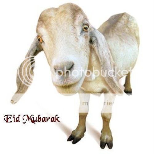 Bakra-Eid-Mubarak-2012-HD-Wallpapers-1.jpg