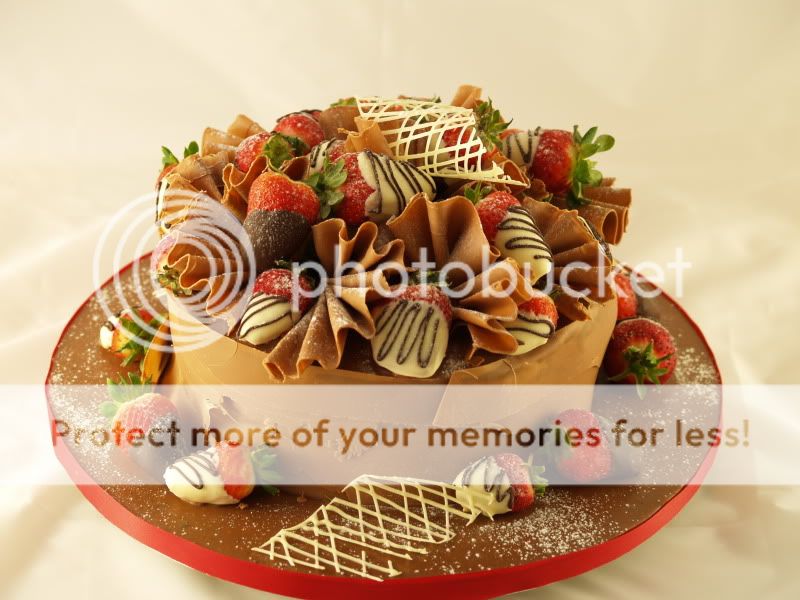 alion---cake-for-all-occaion-466930.jpg