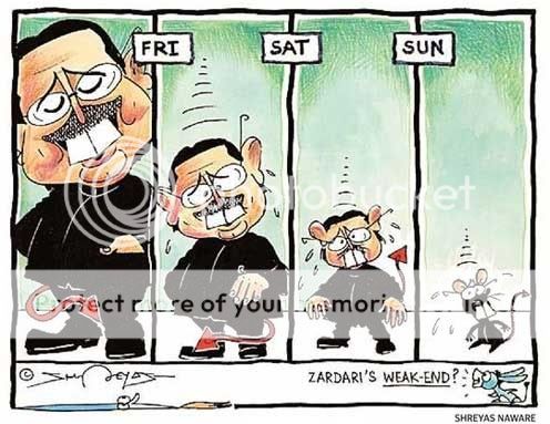 pak-prez-zardari-cartoon.jpg