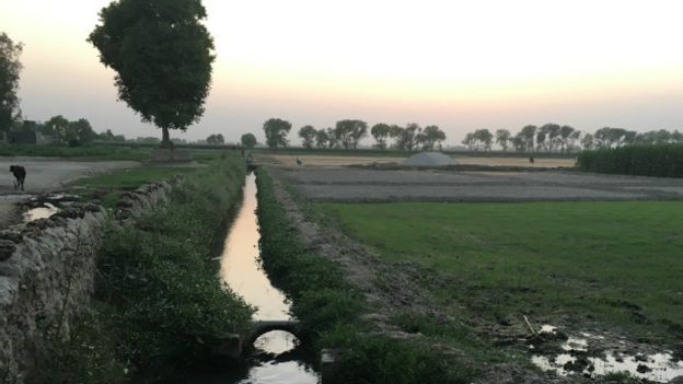 160518080048_punjab_village_640x360_bbc_nocredit.jpg