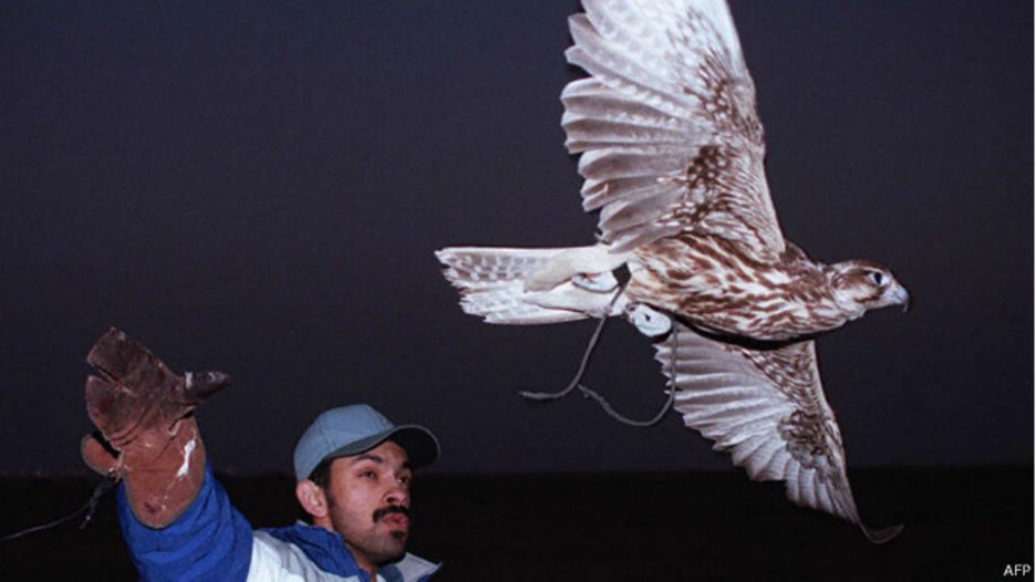 141128175740_arab_hunting_640x360_afp.jpg