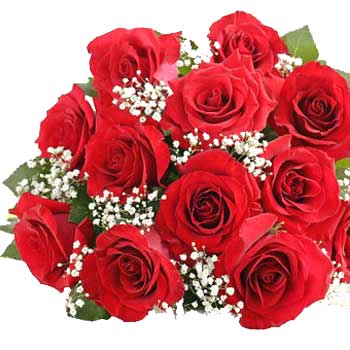 roses-roses-29777778-350-350.jpg
