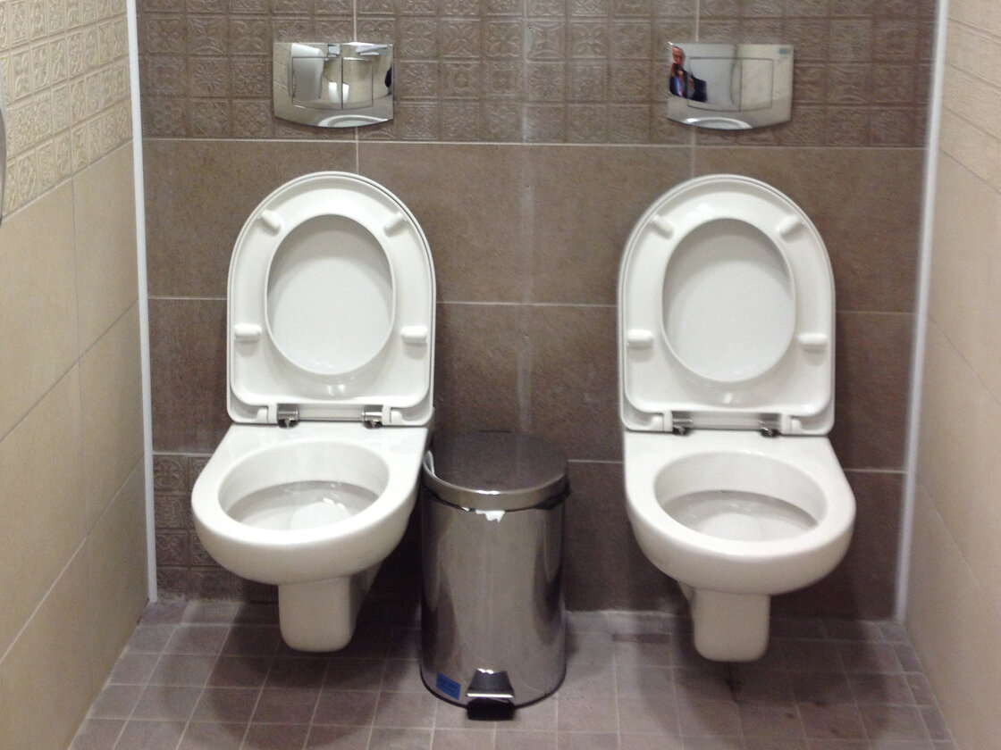 twotoilets232way-1cf0dc71cf1e9924e6f852732b23c537c1d53d2b-s40-c85.jpg