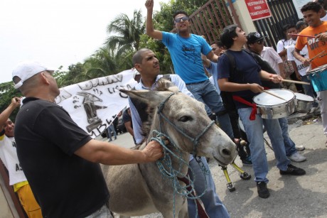 ecuador-donkey-elections.jpeg-460x307.jpg