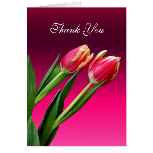 card_thank_you_cards_pink_flowers-r0aba7dfb5b4e4fee80fb13054bc33e20_xvuat_8byvr_512.jpg