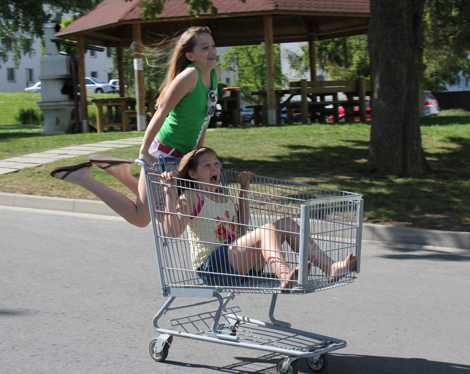 shopping-cart-cropped.jpg