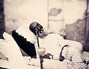 300px-Bahadur_Shah_Zafar.jpg