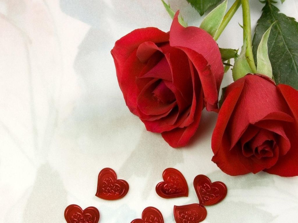 Roses-Love.jpg