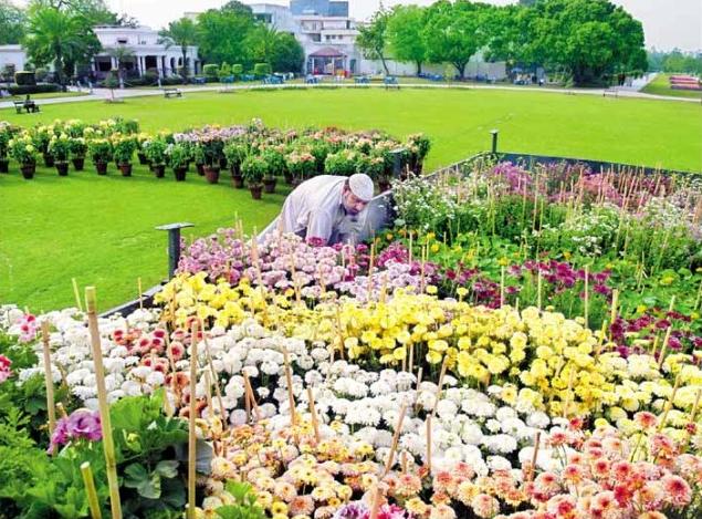 Race-Course-Park-Lahore-preparation-for-the-Spring-flower-festival-in-March.jpg