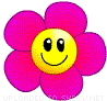 flower-pink-smiley-emoticon-animation.gif