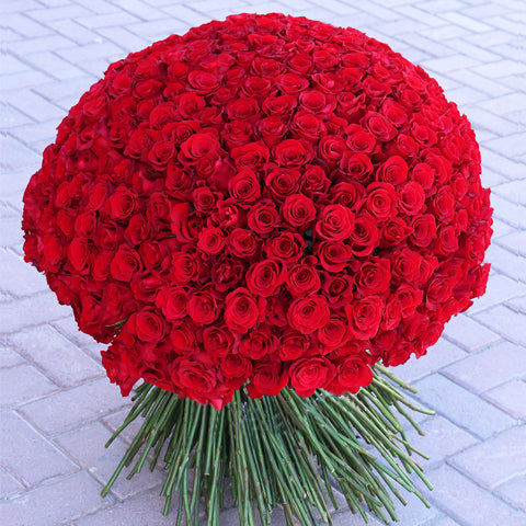 300-long-stem_rose-bouquet_large.jpg