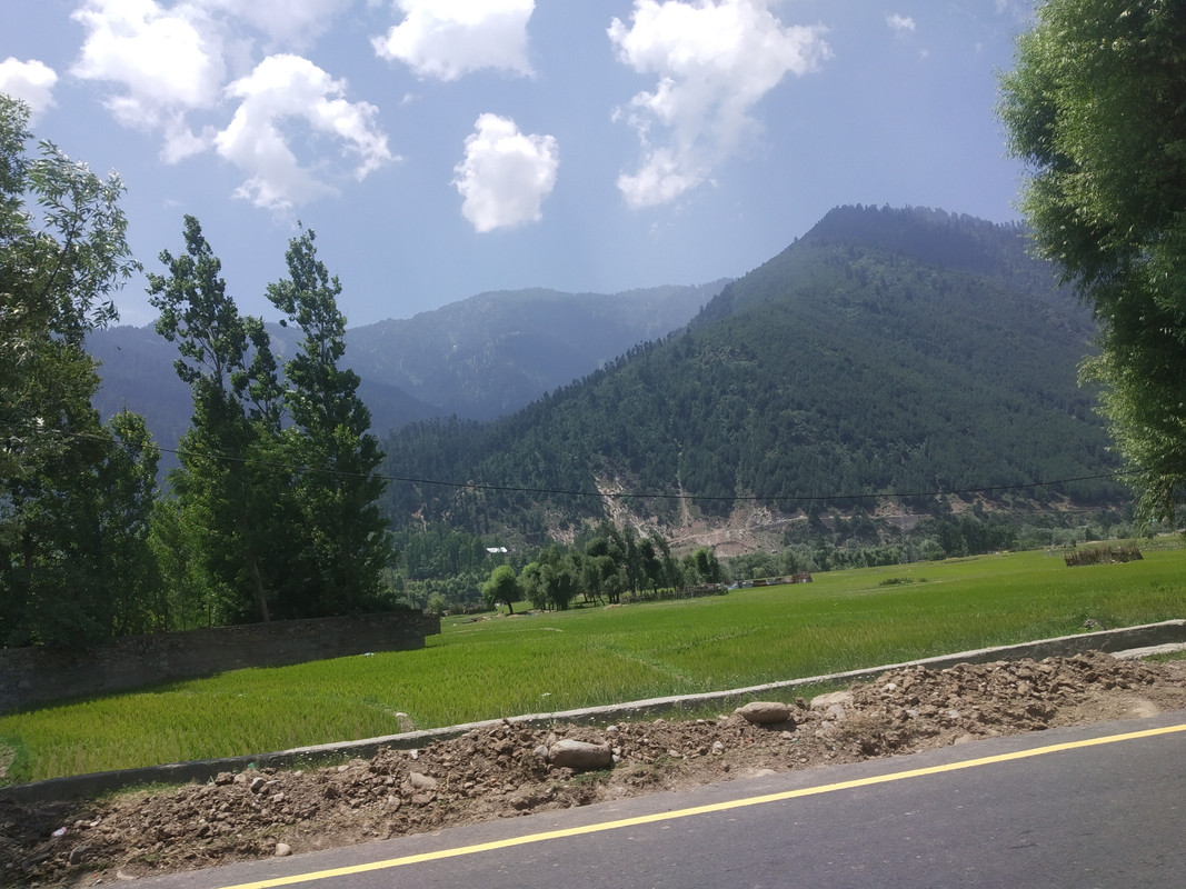 IMG-20190630-115042.jpg