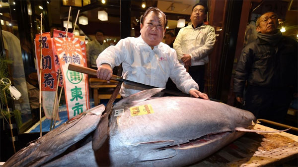 tuna-fish-01.jpg