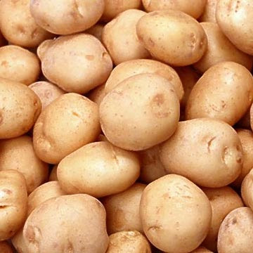 potatoe.jpg