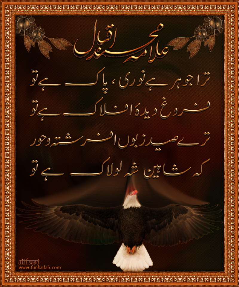 urdu_poetry_allama_iqbal_by_atif80saad-dbwz33s.jpg