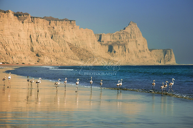 5-Gawadar-Harbor-Balochistan.jpg