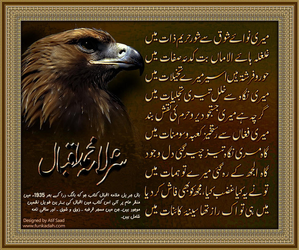 urdu_poetry_allama_iqbal_by_atif80saad-dchkv6n.jpg