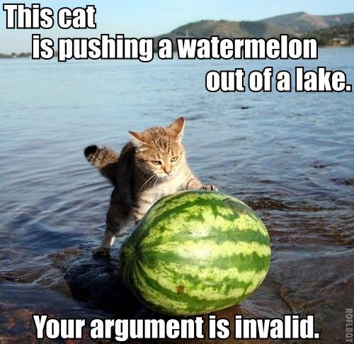 WatermelonCat.jpg